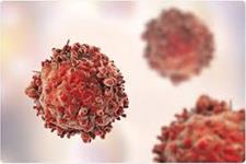 مسیرهای جدید برای رشد سلول های سرطانی لوسمی میلوئید حاد(AML)