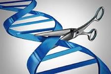 تکنولوژی CRISPR/Cas9 یک تعیین کننده مهم در پژوهش های زیست شناسی انسانی