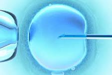 تکنیکی جدید برای کمک به انتخاب جنین طی IVF