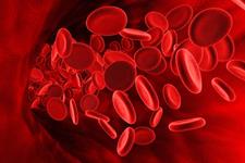 کشف یک مولکول کلیدی در تولید خون