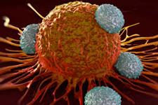 تاثیر سلول های سرطانی روی سلول های پیرامونی در تکوین سرطان