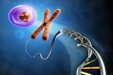 روشی از ژن درمانی برای هدف قرار دادن سلول های کلیوی آسیب دیده
