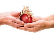 رشد مدل قلبی دارای ضربان برای ارزیابی بیماری ها و داروها