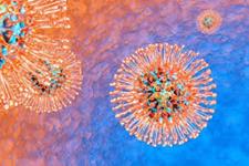 انسانی کردن آنتی بادی هایی که هرپس ویروس 6B انسانی را هدف قرار می دهند