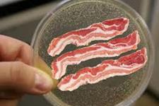 تولید گوشت بدون استفاده از حیوانات و با استفاده از سلول های بنیادی