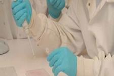 استفاده از سلول‌های بنیادی جنینی برای مطالعات سم‌شناسی در کشور