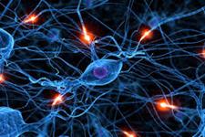 اولین نورون های سروتونینی ساخته شده از سلول های بنیادی انسانی