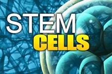 تصویب اولین رده سلول های بنیادی انسانی اخلاقی برای تحقیقات در آمریکا