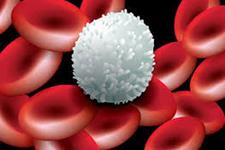 اطلاعاتی جدید در مورد حرکت سلول های سفید خونی به جایگاه عفونت