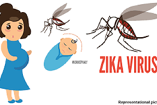 ویروس زیکا می تواند به جفت آسیب برساند