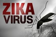 چگونه ویروس زیکا منجر به میکروسفالی می شود