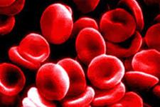 حل معمای پشت پرده بلوغ سلول های قرمز خونی