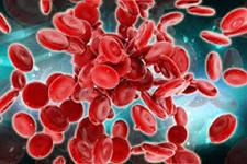 کشف مکانیسم حیاتی برای عملکردی نگه داشتن سلول های بنیادی خونی