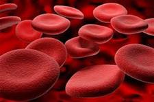 منبع خونی نامحدود و خالص از سلول های بنیادی