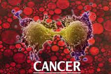 تفاوت وضعیت متابولیکی سلول های بنیادی سرطانی و سلول های سرطانی مشتق از آن ها
