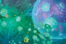 سلول های سرطانی اگزوزوم های مترشحه از سلول های پیرامونشان را می خورند