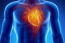 اثر دیابت روی سلول درمانی قلب