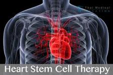 مهندسی سلول درمانی قلب با الهام از خود بدن