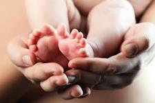پروتئین ضروری برای اسپرماتوژنز می تواند منجر به روش های جدید پیشگیری از بارداری شود