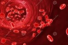 نقشی جدید و اعجاب انگیز برای ریه: خون سازی
