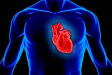 تحقیقات سلولی می تواند به پیوند بافت قلبی کمک کند