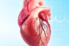 آیا سلول های بنیادی می توانند به قلب بیمار کمک کنند که خودش بهبود بیابد؟