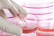 پیشرفت های بیشتر در استفاده از سلول های بنیادی برای کشف داروها و سلول درمانی 