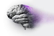 عدم پاکسازی (میتوفاژی) در سلول های مغزی نقش کلیدی در بروز بیماری آلزایمر دارد