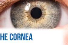محققین لنزهای تماسی هیدروژلی را برای درمان بیماری های چشمی خطرناک ایجاد کرده اند