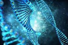 محققین از سلول های بنیادی هاپلوئیدی برای ایجاد یک اطلس ژنوم انسانی استفاده کرده اند 