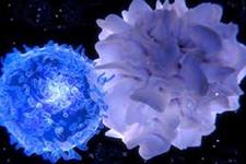 تایید اولین خط درمانی برای لنفومای سلول های T محیطی بوسیله FDA