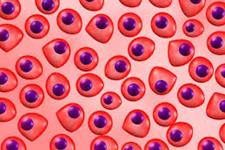 تولید سلول های بنیادی از خون