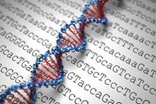 چگونه یک فاکتور رونویسی بر ژنوم مسلط می شود