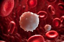 پروتئین p38 عامل تنظیم کننده عروق خونی جدید در تومورها 