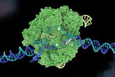انتقال غیر ویروسی CRISPR یک موفقیت محسوب می شود