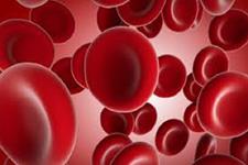 یک درمان ترکیبی جدید و بالقوه برای مبارزه با یک بیماری خونی نادر