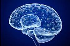 ایمپلنت های مغزی علاوه بر نورون ها روی فعالیت سایر سلول های مغزی نیز اثر می گذارند