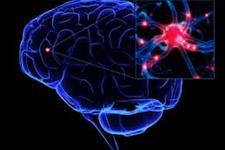 چگونه سلول های بنیادی به درمان آسیب های مغزی کمک می کنند
