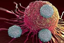 استفاده از متابولیسم سلولی برای مبارزه با سرطان