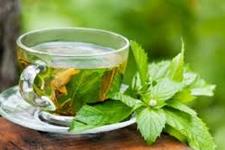 مصرف زیاد چای سبز می تواند تکوین و تولید مثل را مختل کند