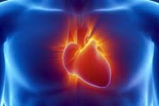 تمرکز روی مکانیک ممکن است کلیدی برای باز کردن توانایی قلب در بازسازی خودش باشد