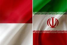 آمادگی اندونزی برای همکاری با ایران در زمینه‌ سلول‌های بنیادی و فناوری نانو