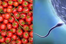 مواد غذایی افزایش دهنده اسپرم برای کمک به زوج های نابارور 