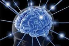 سرنخ هایی جدید از شناسایی دلایل کاهش حافظه یا شناخت