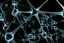 تبدیل سلول های پوستی به نورون های حرکتی