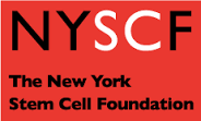 همکاری NYSCF و CBR برای ایجاد رده های سلول های بنیادی با کیفیت بالا