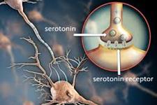 "سروتونین" به سازش پذیری ما در برابر تغییرات محیطی کمک می کند