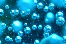 مقدار آب موجود در سلول های بنیادی می تواند سرنوشت آن ها برای چربی شدن یا استخوانی شدن را تعیین کند