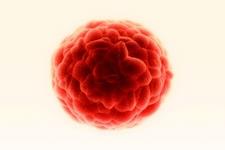 طراحی ترکیبات ضد توموری جدید برای اثر بر سلول‌های بنیادی سرطانی