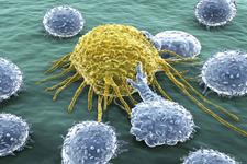 اثر سلول های T خاطره مشتق از بافت در اختلال پیوند سلول های بنیادی